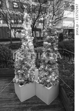 [神戸メリケンパーク]クリスマスのイルミネーションが美しい風景 133732947