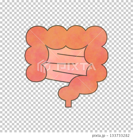 Watercolor intestine illustration 133733282