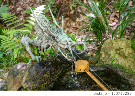 Bronze dragon chozuya at Mitaki-Dera temple in Hiroshima, Japan 133733289