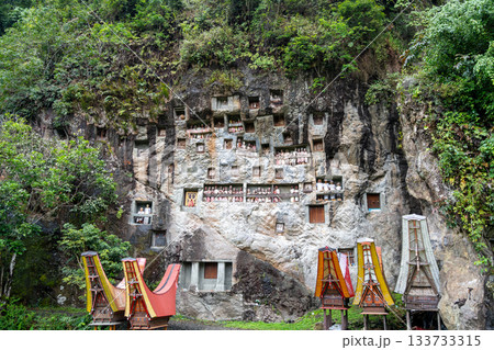 Funeral cliff site of Lemo in Toraja, Sulawesi, Indonesia 133733315