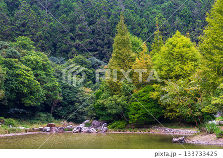 宜蘭 森林公園 木場公園 133733425
