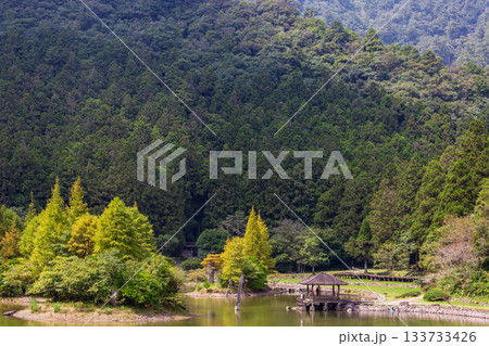 宜蘭 森林公園 木場公園 133733426