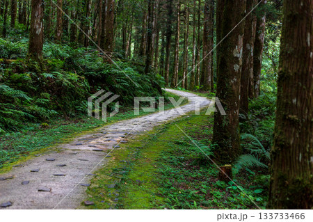 宜蘭 森林公園 木場公園 133733466