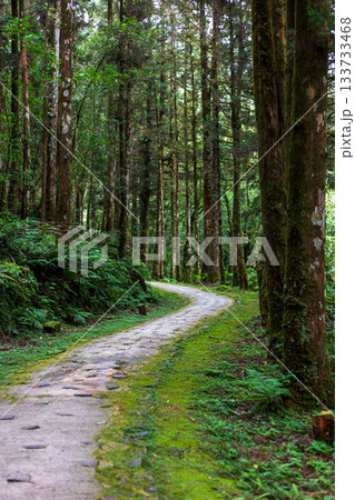 宜蘭 森林公園 木場公園 133733468