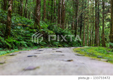 宜蘭 森林公園 木場公園 133733472