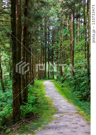 宜蘭 森林公園 木場公園 133733473