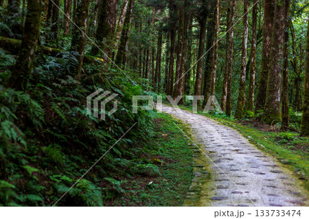 宜蘭 森林公園 木場公園 133733474