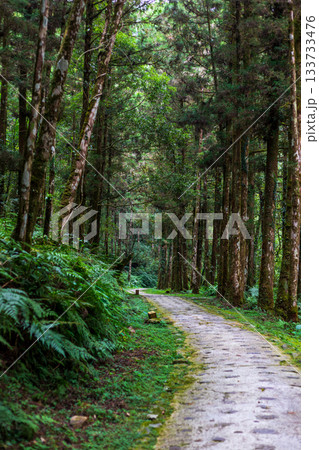 宜蘭 森林公園 木場公園 133733476