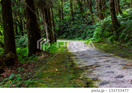 宜蘭 森林公園 木場公園 133733477