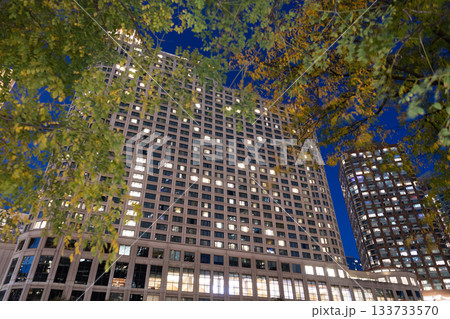 Night city of Chicago. Business city. Night cityscape of Chicago skyscraper building. Chicago architecture of skyscraper. City night illuminated building. Skyscraper cityscape. Urban charm Night city of Chicago. Business city. Night cityscape of Chicago skyscraper building. Chicago architecture of skyscraper. City night illuminated building. Skyscraper cityscape. Urban charm 133733570