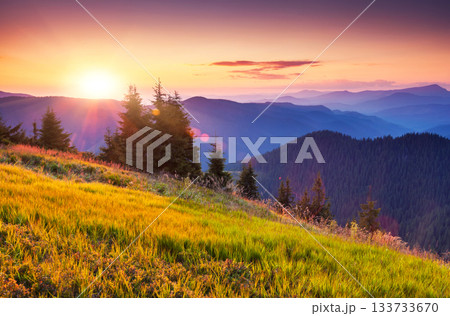 mountain landscape mountain landscape 133733670