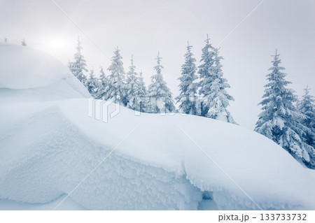 winter winter 133733732