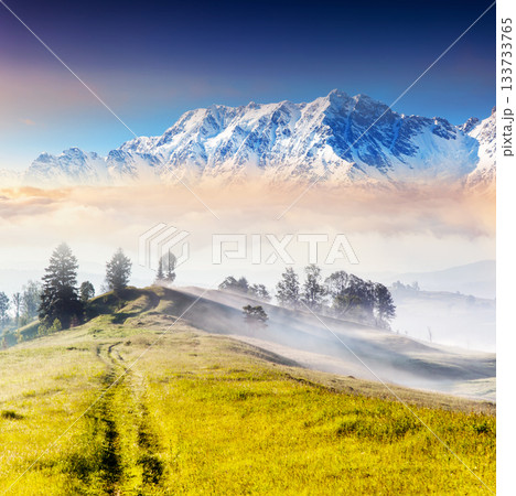 mountain landscape mountain landscape 133733765