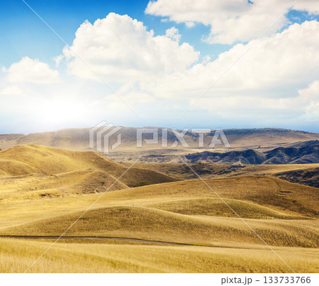 meadow meadow 133733766