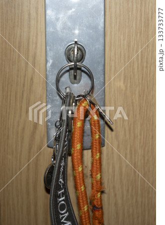 A vertical close-up. A set of keys with keychains and an orange braided lanyard hangs from a metal holder attached to a light-colored wooden wall. The image symbolizes security, access to a home or of A vertical close-up. A set of keys with keychains and an orange braided lanyard hangs from a metal holder attached to a light-colored wooden wall. The image symbolizes security, access to a home or of 133733777