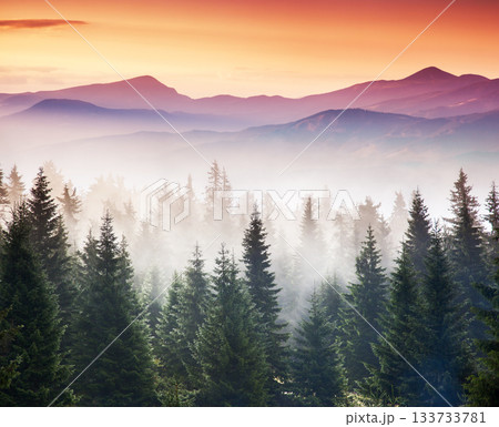 mountain landscape mountain landscape 133733781