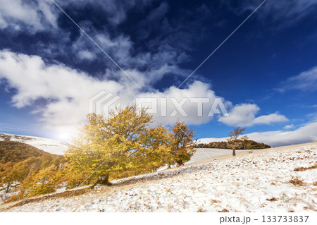 mountain landscape mountain landscape 133733837
