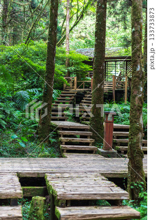 森林公園 木場公園 台湾 133733873