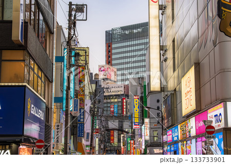 東京都千代田区 夕暮れの秋葉原の路地裏 133733901