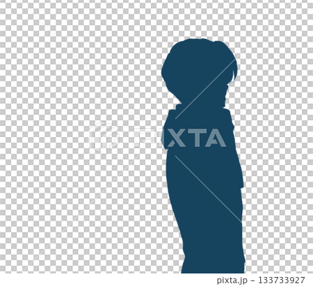 冬の男性　シルエット 133733927