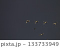 Stranger among his own 133733949