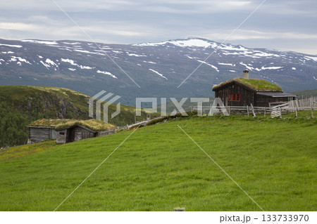 Holeseatri houses on Holesaetervegen road near Sladalsvegen in Norway with beautiful mountain backdrop 133733970