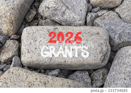 2026 Grants symbol. Concept words 2026 Grants on beautiful big grey stone. Beautiful grey stones background. Business and 2026 grants concept. Copy space. 133734085