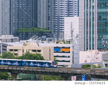 タイ・バンコク中心部のビル群とスカイトレイン / Bangkok, Thailand 133734223