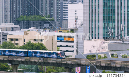 タイ・バンコク中心部のビル群とスカイトレイン / Bangkok, Thailand 133734224