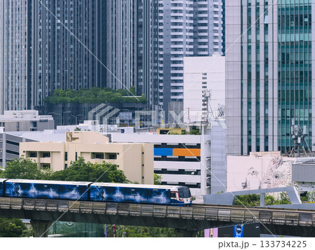 タイ・バンコク中心部のビル群とスカイトレイン / Bangkok, Thailand 133734225