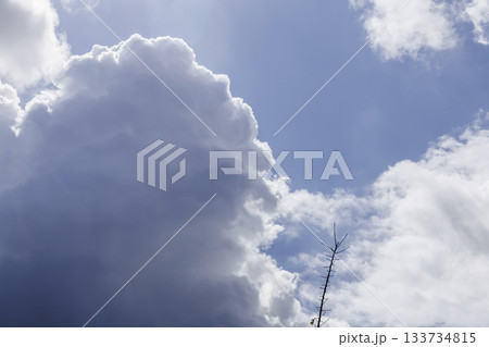 芦屋基地航空祭当日の空 芦屋基地航空祭当日の空 133734815