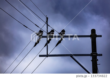 電柱と電線 電柱と電線 133734822