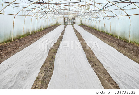 Interior of an organic vegetable greenhouse farm with agrotextile covers. Interior of an organic vegetable greenhouse farm with agrotextile covers. 133735333