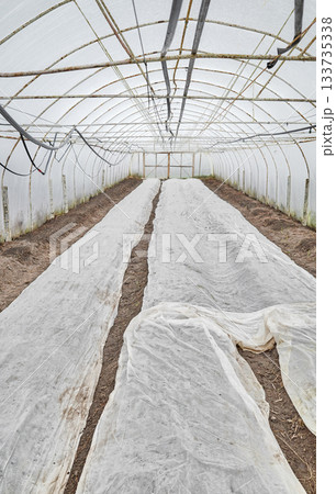 Interior of an organic vegetable greenhouse farm with agrotextile covers. Interior of an organic vegetable greenhouse farm with agrotextile covers. 133735338