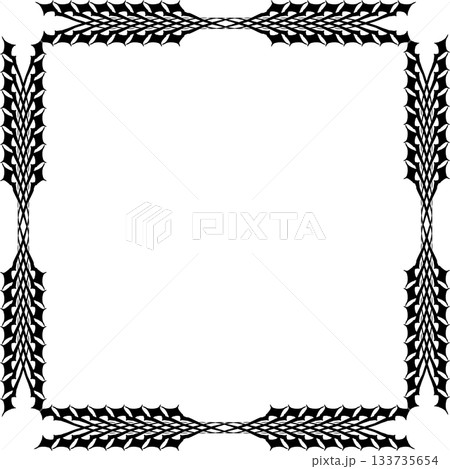 Vintage decorative vector frame in Gothic style - elegant black vector frame on white background, EPS10, north runes frame, middle ages, hallowen 133735654