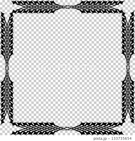 Vintage decorative vector frame in Gothic style - elegant black vector frame on white background, EPS10, north runes frame, middle ages, hallowen 133735654