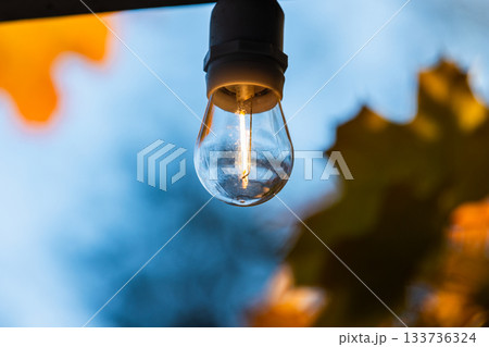 A close-up of a warm, glowing hanging light bulb against a soft blue background A close-up of a warm, glowing hanging light bulb against a soft blue background 133736324
