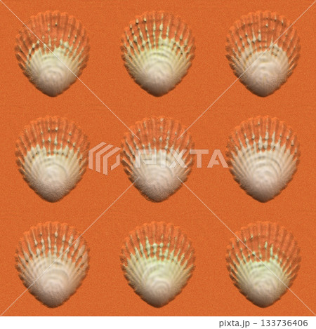 Single scallop shell rests under the summer sun on light-colored sand, viewed from above. Single scallop shell rests under the summer sun on light-colored sand, viewed from above. 133736406