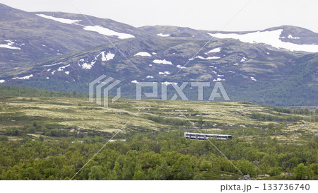 Train travels through the scenic landscapes of DovrefjellSunndalsfjella National Park in Norway 133736740