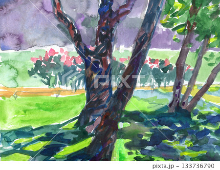 Vibrant watercolor landscape with sunlit trees and colorful shadows. Expressive brushwork creates a lively park atmosphere, perfect for posters, wall art, book covers, nature themes and travel Vibrant watercolor landscape with sunlit trees and colorful shadows. Expressive brushwork creates a lively park atmosphere, perfect for posters, wall art, book covers, nature themes and travel 133736790