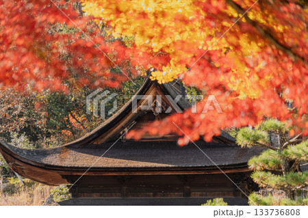 秋の虎渓山永保寺境内の景色 秋の虎渓山永保寺境内の景色 133736808
