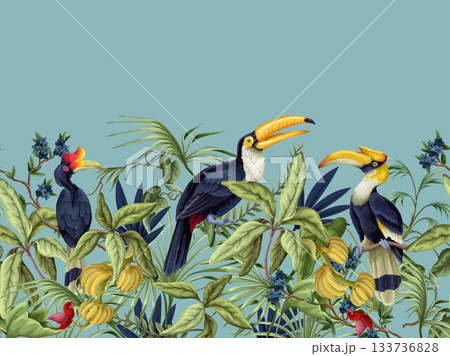 Tropic birds vector border with exotic hornbills tropical foliage botanical jungle decorative design illustration 133736828