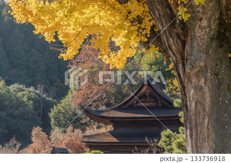秋の虎渓山永保寺境内の景色 秋の虎渓山永保寺境内の景色 133736918