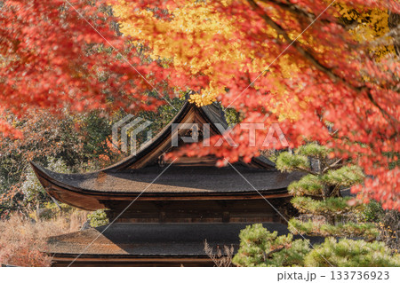 秋の虎渓山永保寺境内の景色 秋の虎渓山永保寺境内の景色 133736923