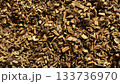 Wood Chip Mulch Texture For Garden Landscaping, Natural Ground Cover, And Rustic Yard Decor 133736970