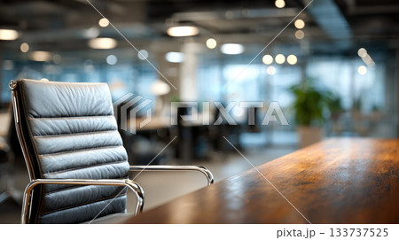 Modern Executive Office Chair in Contemporary Open-Space Workplace 133737525