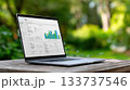 Laptop Displaying Business Analytics Dashboard on Wooden Table Outdoors 133737546
