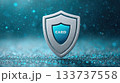 Metallic Shield Symbolizing Card Protection and Secure Financial Transactions 133737558