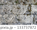A full-frame view of an old porous stone wall with small plants growing between the cracks, showcasing natural texture, weathering, and organic detail. 133737872