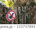 A clear no dog fouling sign mounted on a wooden fence surrounded by ivy, conveying a clean public area message with natural outdoor surroundings. 133737893